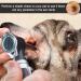 ACBOOR OTOSCOP: 3X Magnification Otoscope Set for Adults Children & Pets - 4 Speculum Tips 8 Earplugs Hard Plastic Case - Illuminate Your Ear Care - Buy Online on GoSupps.com