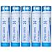 Boiron Urtica Urens 30C 5-Pack of 80 Pellet Tubes Homeopathic Medicine for Skin Rash