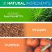 Prostate Health Supplement for Men - Saw Palmetto & Pygeum Blend - 16 Herbs + Zinc - 60 Capsules - Buy Online on GoSupps.com