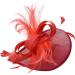 Ladies Feather Aliceband/Clip Fascinator Hat for Weddings Races Royal Ascot (Coral) - Buy Online on GoSupps.com