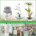 DAJAVE 10 Pack Flower Frogs - Round Japanese Flower Arranger Tool for Plant Decoration and Floral Arrangement - Buy Online on GoSupps.com