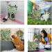 2 Pcs Rabbit Hay Feeder Rabbit Accessories Hay Bag Straw for Rabbits Guinea Pig Hay Feeder Hay Feeder Guinea Pig Guinea Pig Guinea Pig Hay for Guinea Pigs Feeding Hay Guinea Pig Hay Bag with 2 Holes - Buy Online on GoSupps.com