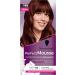 Schwarzkopf - Perfect Mousse - Hair Color - Permanent Mousse without Ammonia - Care Mask 96% ingredients of natural origin - Mahogany 586 1 Unit (Pack of 1) - Buy Online on GoSupps.com