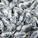 Uncle Lukes Original Boiled Sweets 1kg Bag - Buy Online on GoSupps.com