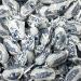 Uncle Lukes Original Boiled Sweets 2kg Bag