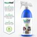 RepelWell Multi-Protect Stain & Water Repellent (12oz) Eco-Friendly  Pet-Safe Spray Keeps Your Belongings Clean  Dry and Looking Like New  Protects Fabric  Upholstery  Leather  Footwear & More Multi Protect 12oz - Buy Online on GoSupps.com