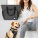 Teamoy Pet Grooming Tote | Dog Grooming Supplies Organizer Bag - Black - Buy Online on GoSupps.com