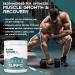 Sugar Free Electrolytes with EAA Powder | Hydrating BCAA & Essential Amino Acids for Muscle Growth | Pre & Post Workout Orange Flavor - Buy Online on GoSupps.com