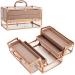 Frenessa Makeup Train Case Cosmetic Storage Box Acrylic Makeup Organizer Portable 4 Trays Jewelry Storage Organizer Makeup Display Case for Stylist, Makeup Artist, Craft Traveling Case Organizer Rose Gold