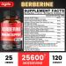 Premium Berberine Supplement 25600mg with Milk Thistle, Ashwagandha, Turmeric - 120 Capsules - Immune, Cardio, Gut support - Buy Online on GoSupps.com