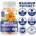 Number One Nutrition N1N Premium Blood Circulation Supplement with 8 Powerful Herbs & Vitamins and Omega 3 6 9 + DHA Gummies 2 Pack Bundle - Buy Online on GoSupps.com