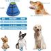 Dog Cone Soft Pet Recovery Collar Pet Cone Pet Recovery Collar Adjustable Dog Cone Collar After Surgery for Medium Large Dogs (XL) - Buy Online on GoSupps.com