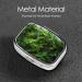 Green Plant Printed Square Pill Box | Portable Travel Medicine Organizer | International Shipping Available - Buy Online on GoSupps.com