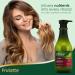 Olive Oil Moisturizing Hair Conditioner with Vitamin E & Shea Butter - Ideal for Dry Damaged Hair | International Shipping Available - Buy Online on GoSupps.com