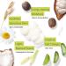 Tree to Tub Cocoa Butter Lotion for Sensitive Skin - Shea Butter Moisturizer for Dry Skin - Lemongrass Coconut Body Cream with Aloe Vera & Oatmeal - 8.5 fl oz - Buy Online on GoSupps.com