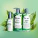 Bior Clean Detox Gentle Cleanser for Normal to Combination Skin 200mL Clear Cleanser 200 ml (Pack of 1) - Buy Online on GoSupps.com