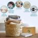 Plentiful Planet Laundry Detergent Sheets - Bulk Pack of 60 | Eco-Friendly Alternative to Earth Breeze & Dropps - 120 Loads - Buy Online on GoSupps.com