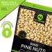 Raw Pine Nuts Pignolias - 5 LB Bulk Bag, Unsalted & Superior to Organic - Healthy Protein Snack, All Natural, Keto Vegan & Kosher - Prime Resealable Bag - Buy Online on GoSupps.com