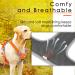 Thinkpet Anti Pulled Dog Harness - Adjustable No Choke Reflective Breathable Design with Handle - Large Orange (1 Pack) for Easy Control | Perfect for International Shipping - Buy Online on GoSupps.com