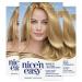 Clairol Nice'n Easy Permanent Hair Dye 8 Medium Blonde Hair Color Pack of 3 8 Medium Blonde 6.26 Fl Oz (Pack of 3)