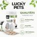 Journey Dog Joint Tablets - Test Winner Made in Germany | Green Lipped Mussel MSM Devil's Claw & Frankincense | 100 Tablets for Up to 6 Months - Buy Online on GoSupps.com