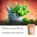 Organic Black Currant Berry 200g - Unsweetened Dried Fruit for Baking - Buy Online on GoSupps.com