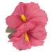 Widmann 1844P - Hair clip with 2 pink hibiscus flowers hair clip hair accessory theme party Hawaii carnival