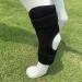 Dog Rear Leg Brace Pet Protective Gear Dog Leg Injury Antilicking Fixed Straps Pet Hind Leg Aid Recovery Straps Dog Knee Brace Spring Support Dog Rear Leg Brace (XL) - Buy Online on GoSupps.com