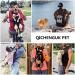 Dog Carrier Backpack Pet Front Carrier Sling Small Doggy Legs Out Carrier Rucksack Bag Hands-Free Adjustable Chest Carrier with Tail Hole for Small Medium Dogs Puppies 5-9LB Outdoor Traveling Hiking M Black - Buy Online on GoSupps.com