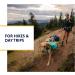 Luffwear Hundred Backpack for Large Dogs - Comfortable Saddlebag for Day Hikes | Front Range Day Pack in Aurora Teal Size L/XL - Buy Online on GoSupps.com