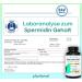 Plantomol 6mg Spermidine Capsules - High Dose Vegan Chlorella Extract | Wheat Germ Free | Enhanced with Pepper | 540mg Can - Buy Online on GoSupps.com