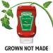 Heinz Jalapeno Ketchup - 14 oz Bottle - Buy Online on GoSupps.com