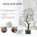Jade Stone Bonsai Tree: Real Crystals & Healing Stones - Spiritual Gifts for Women, Desk Decor for Living Room & Office - Green Jade Tree - Buy Online on GoSupps.com