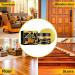 Furniture Beeswax Polish 80g Portable Wood Furniture Cleaner Polish | Flexible Beeswax Furniture Polish Restorer Furniture Cleaner and Polish for Wood Doors Chairs Floors Besreey - Buy Online on GoSupps.com