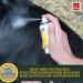 Silver Spray for Animals | Wound Healing & Protection for Dogs Cats & Pets | 100ml Aluminum Wound Disinfectant Spray - Buy Online on GoSupps.com