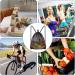 SliverDEW GroÃ Mesh Beach Bag - Durable Network Gym Backpack with Cord Strain for Sports & Travel - Buy Online on GoSupps.com