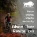 Grass Fed Bison Liver Capsules Supports Energy Production Detoxification Digestion Immunity Natural Iron Non-GMO Freeze Dried Liver Health Supplement 3000mg - Buy Online on GoSupps.com
