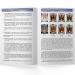 10 Pack Ionic Cleanse Detox Foot Spa: Regain Health & Vitality - Pamphlet Included - Buy Online on GoSupps.com