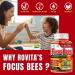 Focus Gummies for Kids & Teens Brain Health Memory Concentration & Attention Omega 3 DHA Kids Focus Vitamins Teen Brain Focus Vitamins for Clarity & Cognitive Orange Flavor 60 Gummy - Buy Online on GoSupps.com