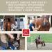 Magnesium Horse 1 kg 30 ml Calm Relax Powder + Booster with Magnesium Vitamin E I Against Anxiety & Stress I Anti Stress Soothing Nerves Nerves & Stress Reduction for Transport Nervous Horses - Buy Online on GoSupps.com