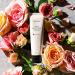 Gya Labs Rose Hand Cream (60ml) Moisturizing For Dry Hands & Cracked Skin - Enriched with Shea Butter & Pure Rose Oil - Travel-sized & Good For Holiday Gifts - Buy Online on GoSupps.com