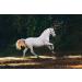 pet wiz EquiRelief - Natural Joint Comfort Supplement (1L) - Buy Online on GoSupps.com