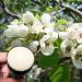 Pear Petals Natural Deodorant for Women and Men - Aluminum-Free Long-Lasting Odor Control Coffee-Infused Oil for Enhanced Protection Sweet Pear & Floral Scent Cruelty-Free 2.65 oz/75 g Single - Buy Online on GoSupps.com