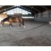 Bio-Line Lunge Guide 5-10m | Biothane 16mm Wide | Soft Lunge Rope with Hand Loop | 20 Colors for Equestrian Sports - Buy Online on GoSupps.com