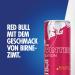 Red Bull Winter Edition Pear-Cinnamon - 24-Pack Cans (250 ml) | International Shipping Available - Buy Online on GoSupps.com