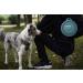 Ohmo Foldable Dog Bowl 800ml - Portable Travel Water Bowl for Medium to Large Pets - Extra Thick Light Blue - Buy Online on GoSupps.com
