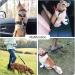 Redamancy Adjustable Dog Seat Belt - Car Safety Belt for Dogs & Cats | Elastic Design & Strong Carabiners | Fits Pets Up to 75 cm - Buy Online on GoSupps.com