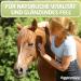Eggersmann - Thistle oil supplement for horses - 1 x 4.5 kg - Buy Online on GoSupps.com