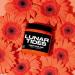 Lunar Tides Solar Flare Orange Semi-Permanent Hair Dye - Vibrant Color for Long-Lasting Bold Hair Transformations Worldwide - Buy Online on GoSupps.com