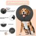 WONDAY Inflatable Dog Cone XL - Adjustable Recovery Collar for Post-Surgery Healing - Soft & Comfy Protective Collar for Wound Recovery - Prevent Biting & Scratching - Grey - Buy Online on GoSupps.com